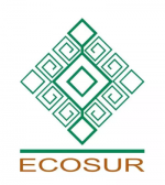 El colegio de la Frontera Sur